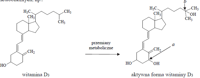 Image 110 - Aktywne formy witaminy D, odgrywające ważną rolę w kontrolowaniu metabolizmu wapnia i fosforu, nie występują w pokarmie. Pod wpływem światła słonecznego obie aktywne formy są wytwarzane pod powierzchnią skóry w wyniku różnych przemian, np. reakcji fotochemicznej, reakcji polegającej na otwarciu pierścienia, izomeryzacji, a także przemian metabolicznych, np.: