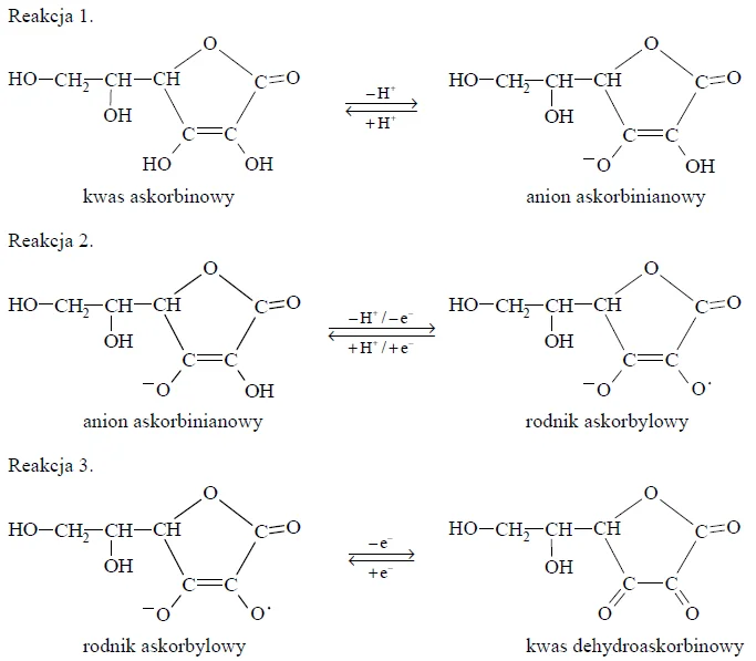 Image 57 1 - Kwas askorbinowy ulega przemianie w kwas dehydroaskorbinowy zgodnie z poniższym schematem. Odszczepienie jednego protonu od cząsteczki witaminy C prowadzi do powstania anionu askorbinianowego (reakcja 1.). W wyniku oddania przez anion askorbinianowy elektronu i drugiego protonu powstaje rodnik askorbylowy (reakcja 2.). Wskutek utraty elektronu przez rodnik askorbylowy tworzy się kwas dehydroaskorbinowy (reakcja 3.).