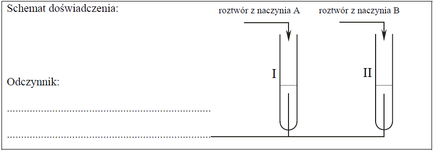 Image 123 1 - W trzech naczyniach A, B i C znajdują się oddzielnie: glicyna (Gly), tyrozyna (Tyr) i glicyloalanyloalanina (Gly-Ala-Ala). Po analizie budowy cząsteczek tych związków stwierdzono, że przeprowadzenie reakcji kolejno z dwoma odczynnikami umożliwi ich identyfikację. Jako pierwszy odczynnik wybrano kwas azotowy(V). Na szkiełkach zegarkowych umieszczono próbki identyfikowanych substancji i na każdą naniesiono kroplę stężonego HNO3. Zaobserwowano, że tylko na próbce z naczynia C pojawiło się żółte zabarwienie.