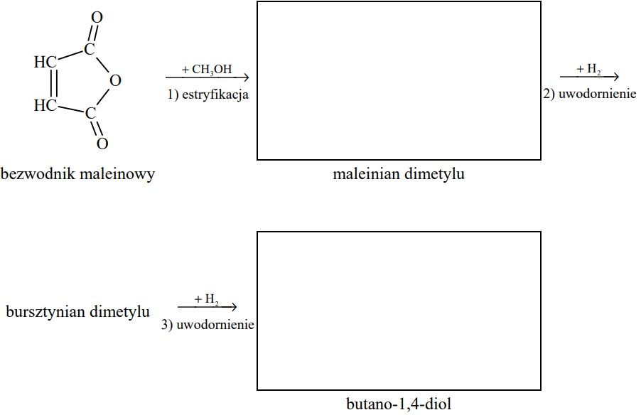 35.3 2 - Kwas maleinowy to nazwa zwyczajowa kwasu cis-butenodiowego o wzorze HOOC–CH=CH–COOH. Kwas ten można otrzymać z benzenu. W wyniku katalitycznego utleniania tego węglowodoru powstaje bezwodnik maleinowy o wzorze:
