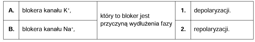 Zadanie 4, arkusz maj 2024 - Matura w probówce - Kursy maturalne online 4a maj 24 - Potencjał czynnościowy to krótko trwająca depolaryzacja błony neuronu i związana z nią repolaryzacja – powrót do stanu spoczynkowego. Na poniższym wykresie przedstawiono zmiany przewodnictwa jonów Na+ i K+, towarzyszące fazom depolaryzacji i repolaryzacji potencjału czynnościowego.