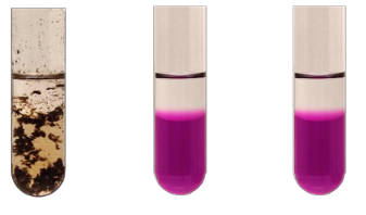 Zadanie 17.2, arkusz maj 2024 - Matura w probówce - Kursy maturalne online image 124 - Cykloalkany ulegają analogicznym reakcjom jak alkany. Benzen, cykloheksan i styren to węglowodory, które w temperaturze pokojowej są bezbarwnymi cieczami. Ich wzory przedstawiono poniżej: