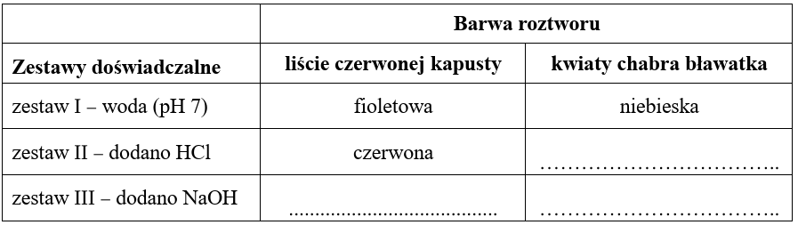 Zadanie 3.1, arkusz kwiecień 2020 - Matura w probówce - Kursy maturalne online image 150 - Informacja 1. Antocyjany – grupa rozpuszczalnych w wodzie barwników gromadzonych w wakuolach komórek roślinnych. Występują powszechnie w płatkach kwiatów oraz w owocach, np. borówki czernicy. Rzadziej spotkane są w innych organach roślinnych, np. w liściach kapusty czerwonej. W organach wegetatywnych antocyjany gromadzą się głównie w skórce, gdzie pochłaniają promieniowanie UV, dzięki czemu obniżają ryzyko uszkodzenia DNA. Właściwości lecznicze antocyjanów, znane od dawna w medycynie ludowej, są coraz szerzej wykorzystywane we współczesnym przemyśle farmaceutycznym. Uważa się, że antocyjany w organizmie człowieka m.in. przeciwdziałają kruchości naczyń krwionośnych, korzystnie wpływają na profil lipidowy, a także chronią rodopsynę przed uszkodzeniem. Barwa antocyjanów zależy od pH soku komórkowego: w środowisku obojętnym mają barwę fioletową, w kwaśnym – czerwoną, a w alkalicznym – niebieską. Jeżeli jednak występują w kompleksie z jonami glinu lub żelaza, np. w kwiatach chabra bławatka, to wtedy niezależnie od pH środowiska mają niebieską barwę.