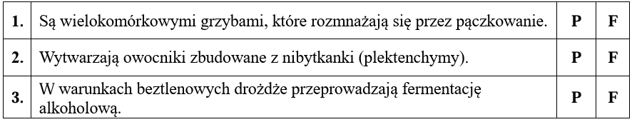 Zadanie 6.2, arkusz kwiecień 2020 - Matura w probówce - Kursy maturalne online image 156 - Stosowane powszechnie w przemyśle piekarniczym i piwowarskim drożdże szlachetne (Saccharomyces cerevisiae) są wykorzystywane również w przemyśle farmaceutycznym i biotechnologii. Są stosowane np. do produkcji szczepionki rekombinowanej przeciw wirusowemu zapaleniu wątroby typu B (WZW B), która zazwyczaj jest trzykrotnie podawana osobie szczepionej.