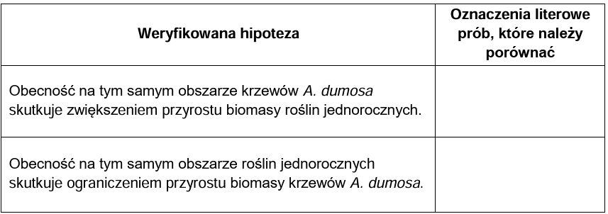 Zadanie 21.1, arkusz maj 2024 - Matura w probówce - Kursy maturalne online image 21 - Oddziaływania międzygatunkowe u roślin mogą mieć charakter antagonistyczny, np. gdy w suchym środowisku występuje konkurencja korzeni o wodę, lub nieantagonistyczny – polegający na wzajemnym wspomaganiu wzrostu.