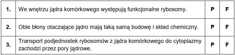 Zadanie 3.1, arkusz czerwiec 2024 - Matura w probówce - Kursy maturalne online image 27 - Jądro komórkowe jest otoczone dwiema błonami jądrowymi tworzącymi wspólnie otoczkę jądrową. Tuż pod wewnętrzną błoną jądrową znajduje się blaszka jądrowa, której głównym składnikiem są laminy zaliczane do filamentów pośrednich cytoszkieletu. Laminy pełnią funkcję wzmacniającą, a także odpowiadają za organizację chromatyny oraz za regulację ekspresji genów. Filamenty blaszki jądrowej ulegają demontażowi i formowaniu na nowo przy każdym podziale komórkowym.
