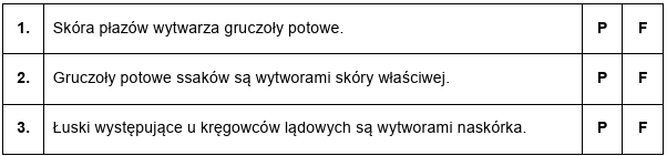 Zadanie 9.2, arkusz grudzień 2024 - Matura w probówce - Kursy maturalne online image 60 - Pokrycie ciała u różnych grup kręgowców jest zróżnicowane. U płazów skóra jest naga. U pozostałych kręgowców powierzchnię ciała pokrywają łuski, pióra lub włosy, które są wytworami naskórka albo skóry właściwej i pełnią różne funkcje. Dzięki odpowiedniej budowie naskórek człowieka pełni m.in. funkcję ochronną.