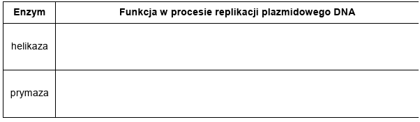 Zadanie 14.3, arkusz grudzień 2024 - Matura w probówce - Kursy maturalne online image 66 - Wśród bakterii zachodzi intensywny międzykomórkowy przepływ informacji genetycznej, który odbywa się na drodze transformacji, transdukcji lub koniugacji. Człowiek wykorzystuje naturalnie zachodzące zjawiska do otrzymywania organizmów modyfikowanych genetycznie, np. bakterii wytwarzających ludzkie białko – insulinę. Jednak aby doszło do produkcji insuliny w komórkach bakterii, ludzki gen insuliny musi zostać pozbawiony dwóch intronów, rozdzielających trzy eksony. Ludzki gen ulega replikacji razem z plazmidem bakteryjnym i dzięki temu występuje w komórce bakteryjnej w dużej liczbie kopii, umożliwiającej syntezę białka na wysokim poziomie.