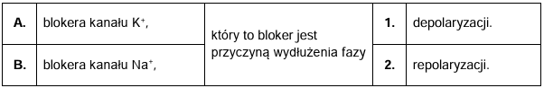 Zadanie 4, arkusz maj 2024 (formuła 2015) - Matura w probówce - Kursy maturalne online image 76 - Potencjał czynnościowy to krótko trwająca depolaryzacja błony neuronu i związana z nią repolaryzacja – powrót do stanu spoczynkowego. Na poniższym wykresie przedstawiono zmiany przewodnictwa jonów Na+ i K+, towarzyszące fazom depolaryzacji i repolaryzacji potencjału czynnościowego.