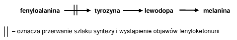 Zadanie 12.1, arkusz grudzień 2022 - Matura w probówce - Kursy maturalne online image 95 - Jednym z najlepiej poznanych u ludzi zaburzeń metabolicznych determinowanych genetycznie są nieprawidłowości w przemianie fenyloalaniny – egzogennego aminokwasu białkowego. Brak lub niedobór aktywnego enzymu hydroksylazy fenyloalaninowej, przekształcającej fenyloalaninę w tyrozynę, jest przyczyną fenyloketonurii – jednej z najczęściej występujących chorób genetycznych. Wysokie stężenie fenyloalaniny w organizmie ma negatywny wpływ na rozwój układu nerwowego.