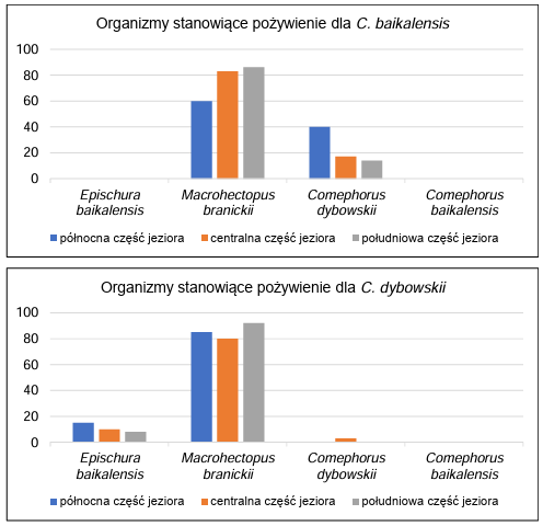 Zadanie 16, arkusz grudzień 2022 - Matura w probówce - Kursy maturalne online image 98 - Bajkał to najstarsze jezioro świata. Występuje w nim unikatowa fauna głębinowa, w tym – dwa gatunki ryb: gołomianka duża (Comephorus baikalensis) oraz gołomianka mała (Comephorus dybowskii). Te ryby występują na głębokości od kilkudziesięciu metrów aż do dna jeziora (ok. 1600 m), natomiast nie spotyka się ich w wodach powierzchniowych. Wraz z gołomiankami współwystępują dwa gatunki skorupiaków: Epischura baikalensis oraz Macrohectopus branickii.